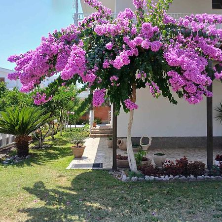 Vila Adriatik Hotel Ulcinj Exterior photo