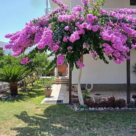 Vila Adriatik Ulcinj Exterior photo