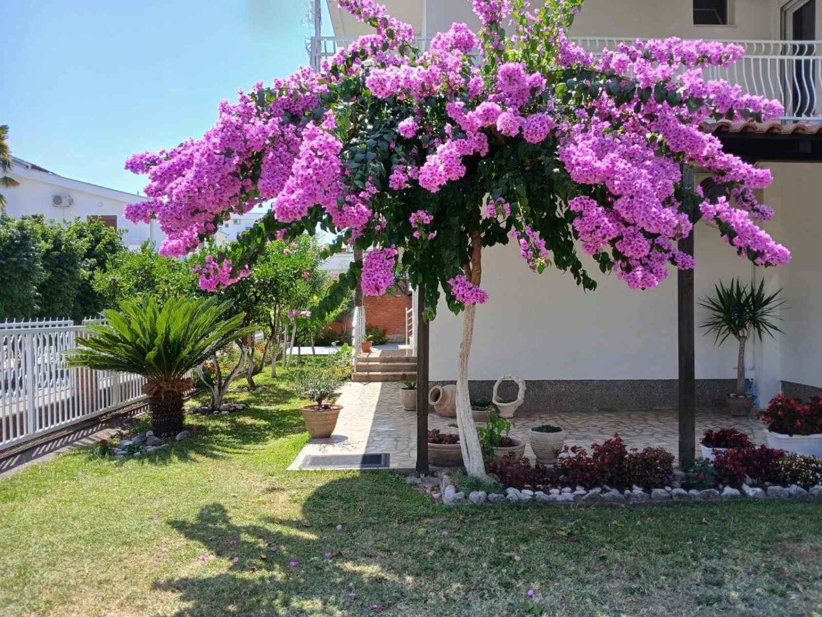 Vila Adriatik Hotel Ulcinj Exterior photo